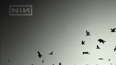 ghosts nine inch nails Music