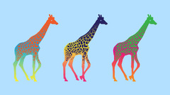 Giraffes colorful Animals Minimalism Simple Background