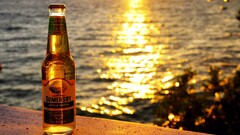 glass alcohol bottles water reflection Refraction sun rays beer