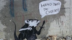 graffiti Rats humor