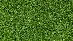 grass texture Green