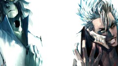 grimmjow jaegerjaquez Espada Ulquiorra Cifer