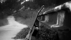 guitar monochrome musical instrument