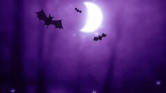 Halloween night bats moon fantasy art