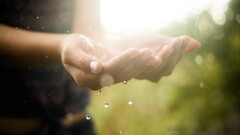 hands rain water