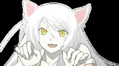 hanekawa tsubasa nekomimi Sawarineko Anime anime girls cat ears