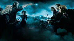 harry potter Lord Voldemort ron weasley hermione granger wands