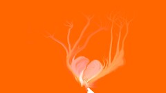 heart orange background Minimalism fire Simple Background