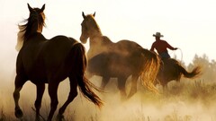 horse Animals Cowboys western