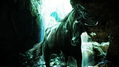 horse artwork Animals