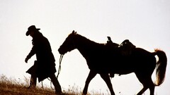 horse Cowboys Animals