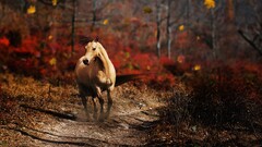 horse forest nature fall Animals