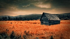 House field Trees hills