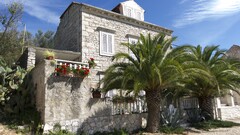 House palm trees mediterranean