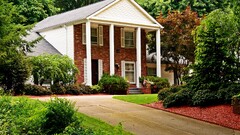 House Plants outdoors