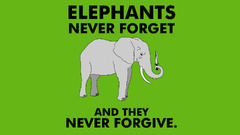 humor Minimalism Typography elephant Knives Animals