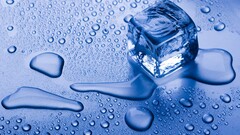 ice cubes water liquid