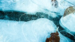 ice nature winter cold cyan