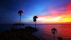 Island sunset palm trees landscape Sea silhouette sky sunlight