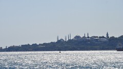 Istanbul water mosque Sea forest Turkey