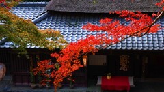 Japan House building