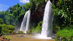 jungle waterfall nature