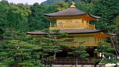 kinkakuji Japan pagoda asian architecture Trees
