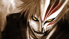 kurosaki ichigo hollow Anime