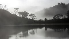 Lake landscape monochrome Trees hills mist