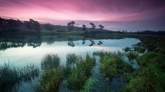 Lake landscape sunset sky water Plants