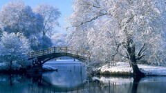 Lake nature landscape snow winter Bridge