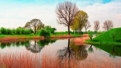 Lake nature spring water reflection Trees