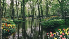 Lake Park Garden Netherlands river Flowers daylight grass