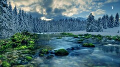 Lake river nature landscape snow Trees winter