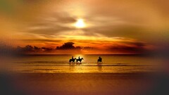 Lake sunset horse sky beach sunlight Animals digital art sun