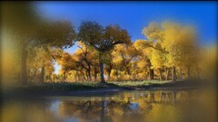 Lake Trees digital art fall water reflection nature landscape