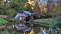 Lake water landscape Trees reflection
