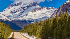 landscape Canada Mountains road Trees banff national park nature
