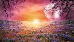 landscape fantasy art digital art moon