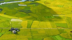 landscape field Green aerial view farm