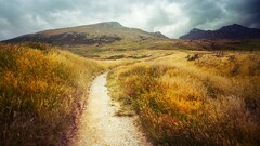 landscape field path dirt road Mountains plains