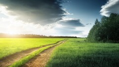 landscape field road