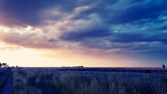 landscape field road sky clouds blue