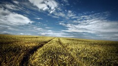 landscape field sky clouds