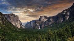 landscape forest Mountains Yosemite National Park USA nature