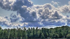 landscape forest water clouds