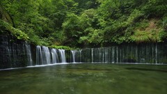 landscape forest waterfall nature