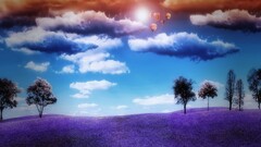 landscape hot air balloons clouds sky colorful
