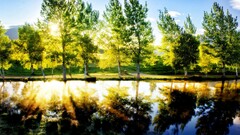 landscape Lake sunlight Trees reflection water