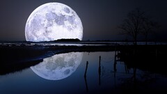 landscape Lake Trees night moon moonlight nature